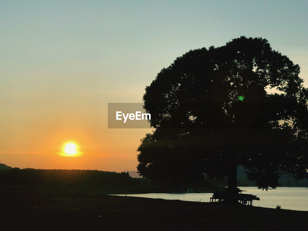 SILHOUETTE TREE AGAINST ORANGE SKY