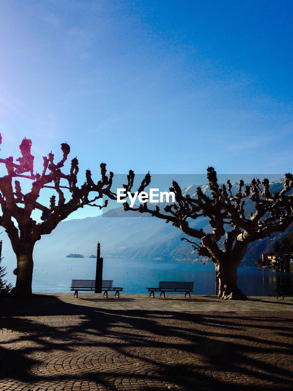 Two empty benches between two bare trees by sea