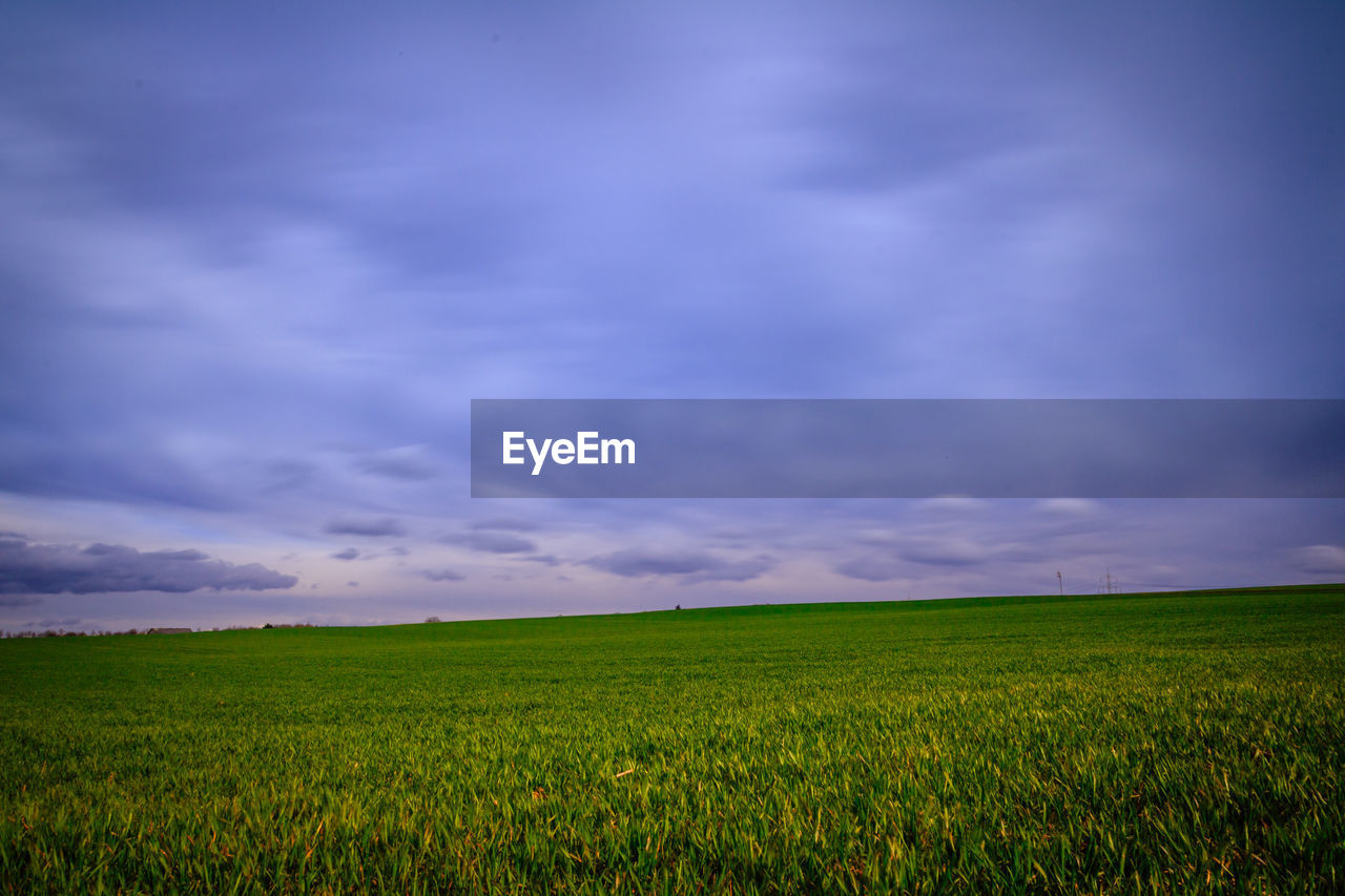 Scenic view of agricultural field against cloudy sky