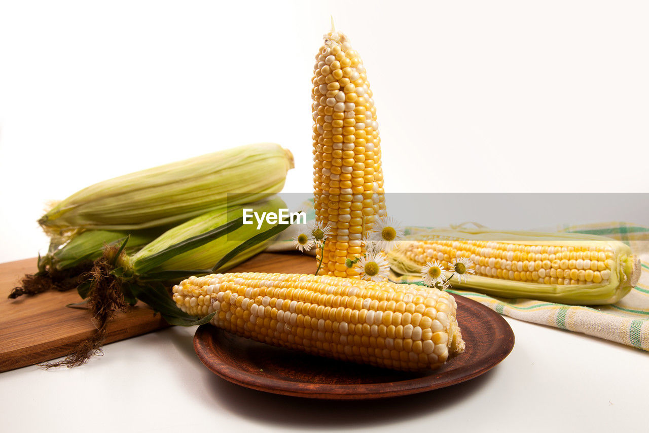 high angle view of corn against white background