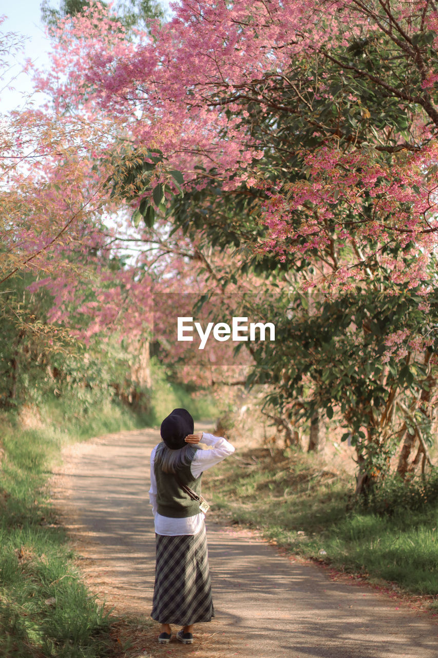 Rear view of woman standing against cherry tree