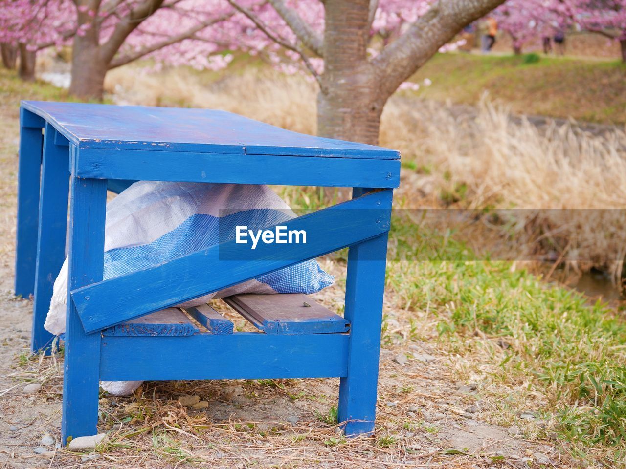 plant, seat, furniture, nature, tree, wood, bench, flower, land, park, park bench, grass, blue, no people, day, tranquility, relaxation, chair, field, outdoors, park - man made space, empty, landscape, beauty in nature, absence, autumn, tranquil scene, growth, table, focus on foreground, springtime