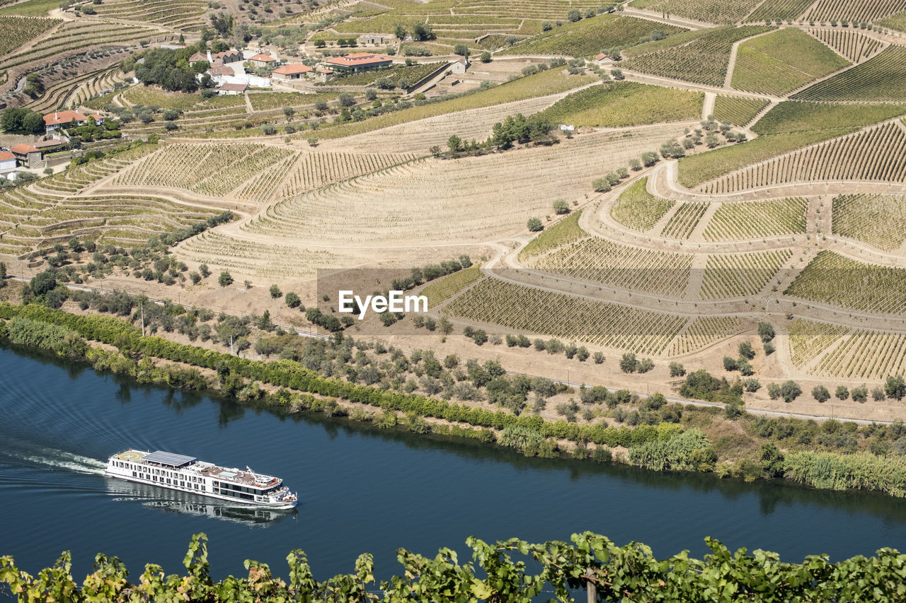 Vineyards in the douro river, alto douro wine valley
