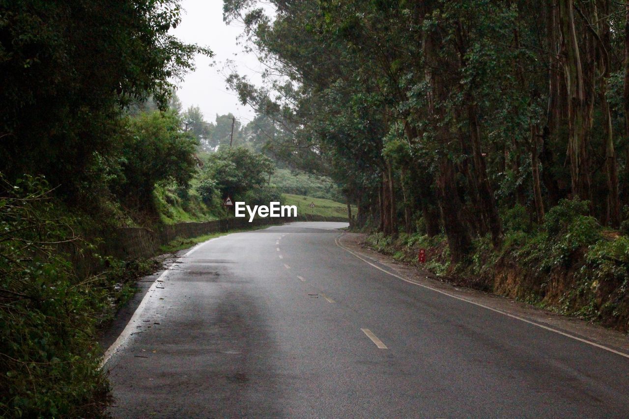 ROAD AMIDST TREES IN CITY