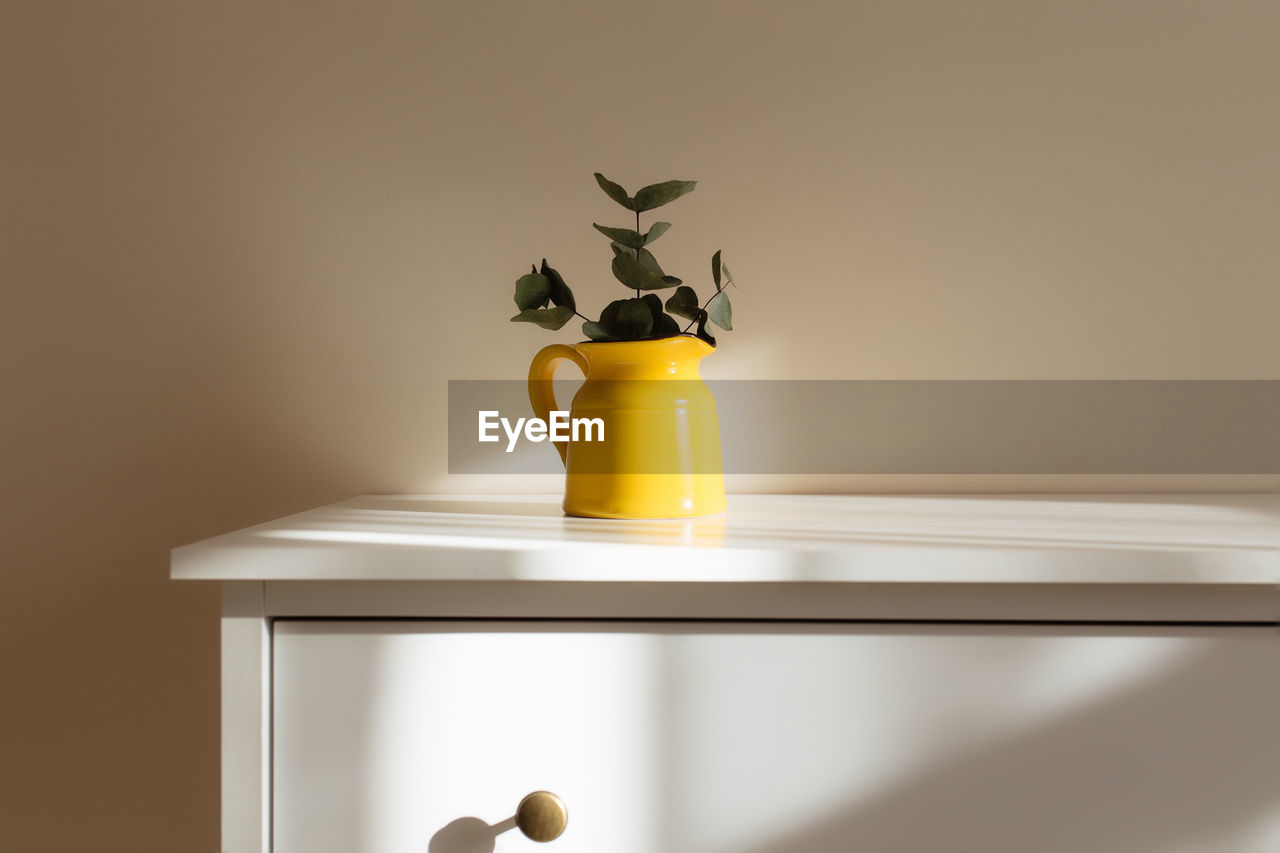 Yellow ceramic vase with eucalyptus branches, on table in interior with beige wall near window