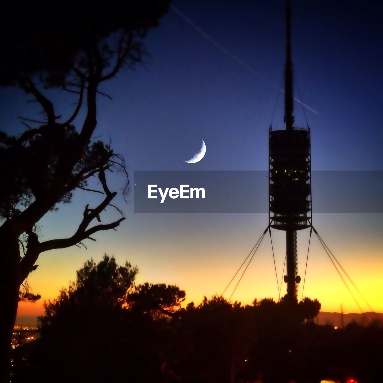 LOW ANGLE VIEW OF SILHOUETTE TREES AGAINST SKY AT DUSK