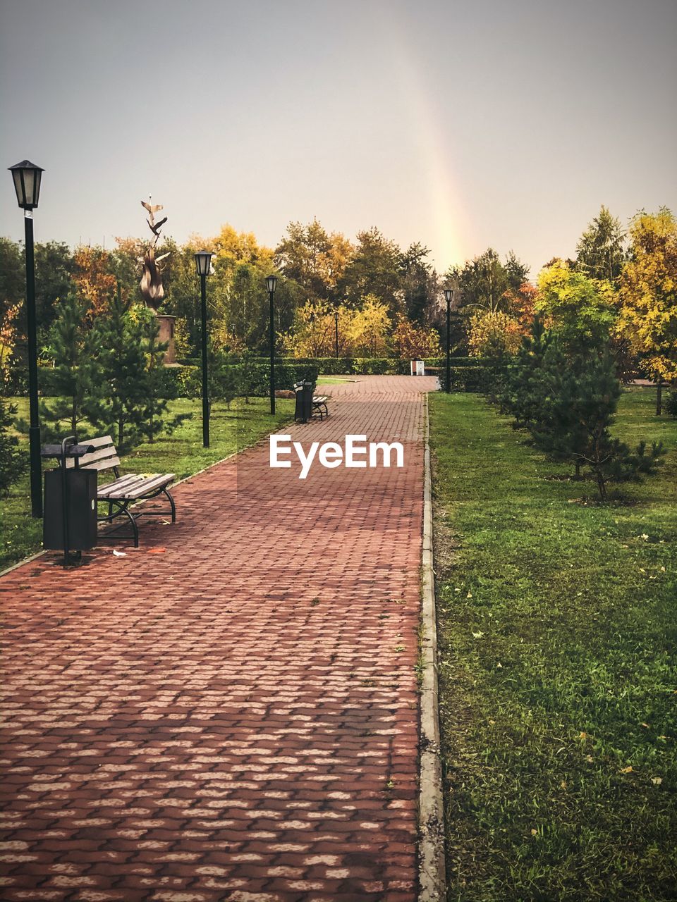 FOOTPATH AMIDST TREES IN PARK AGAINST SKY