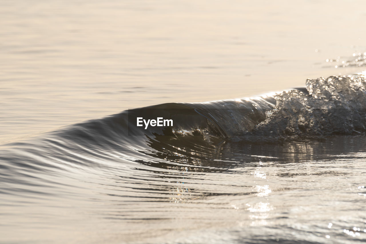 Close-up of water