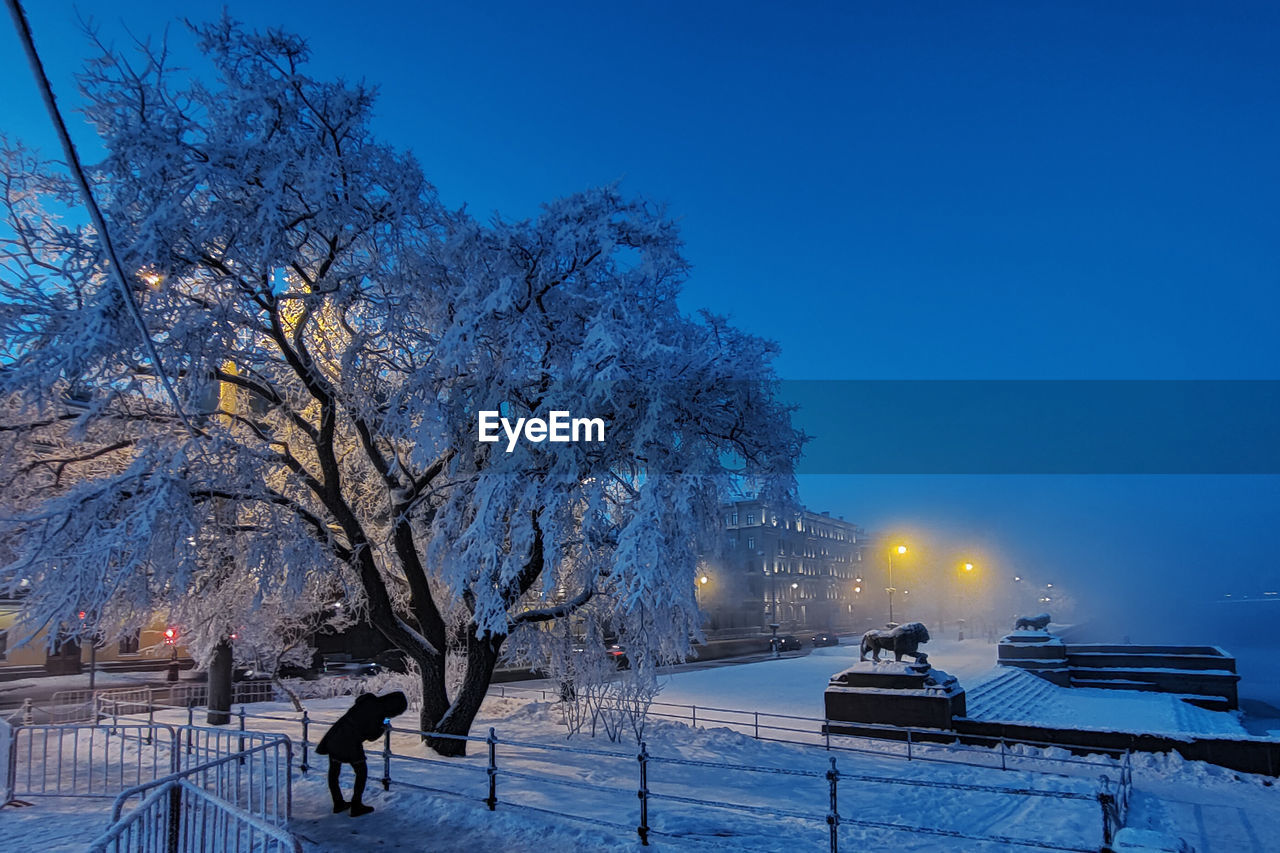 Trees by illuminated city against clear blue sky during winter