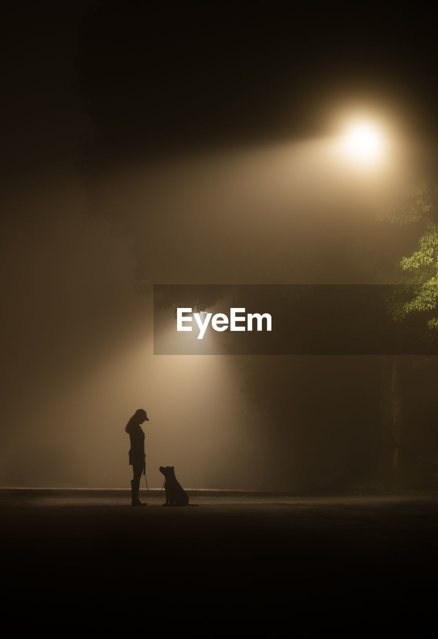 Girl and dog on foggy lamp lit street