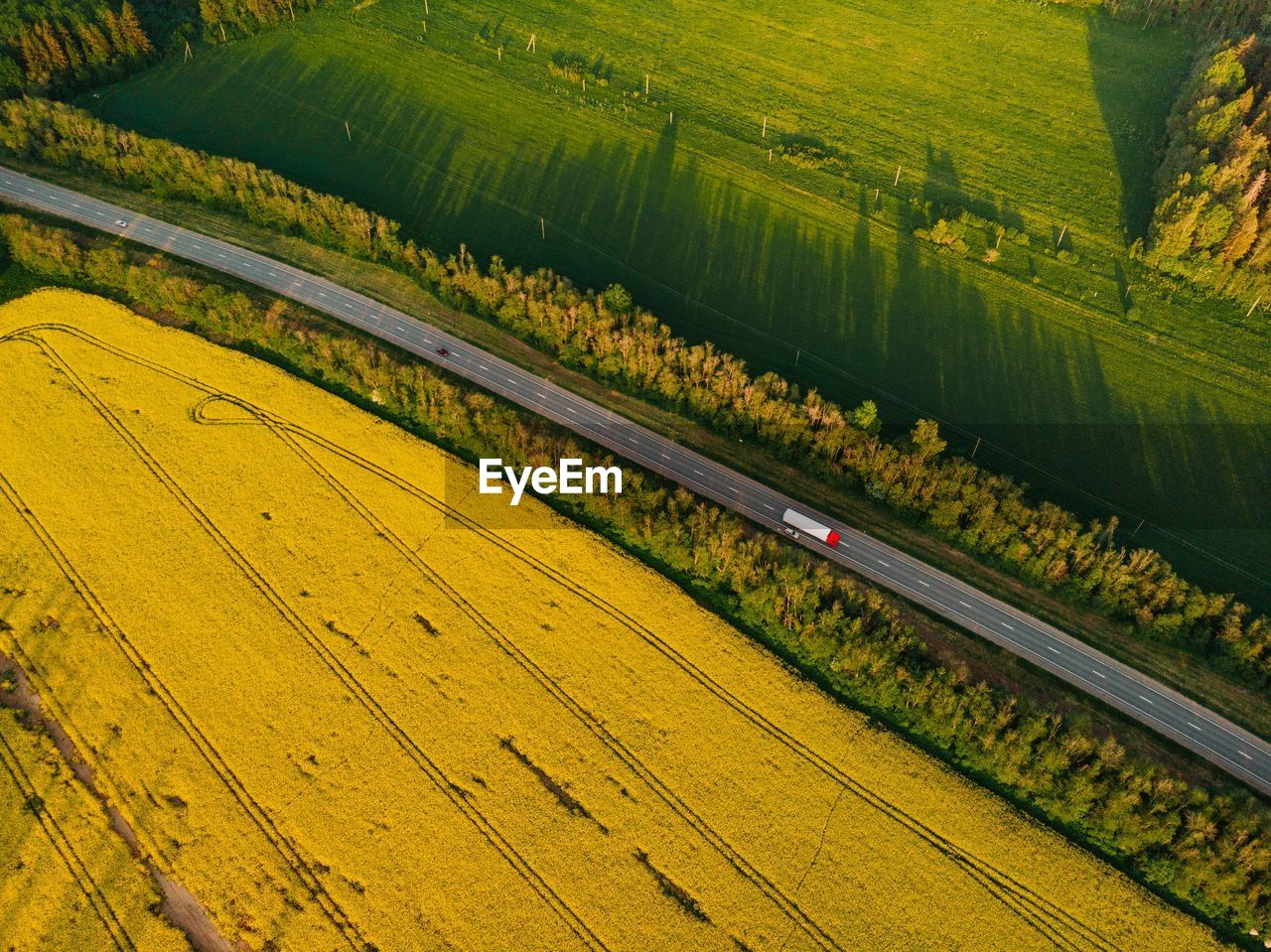 SCENIC VIEW OF FIELD AGAINST TREES