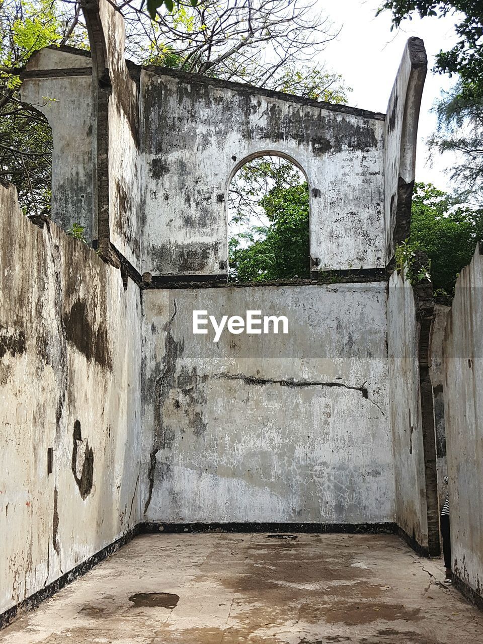 CLOSE-UP OF TREE AGAINST BUILT STRUCTURE