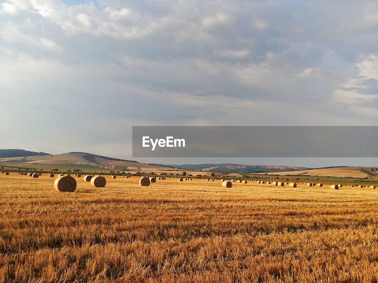 Hay bales on landscape against sky