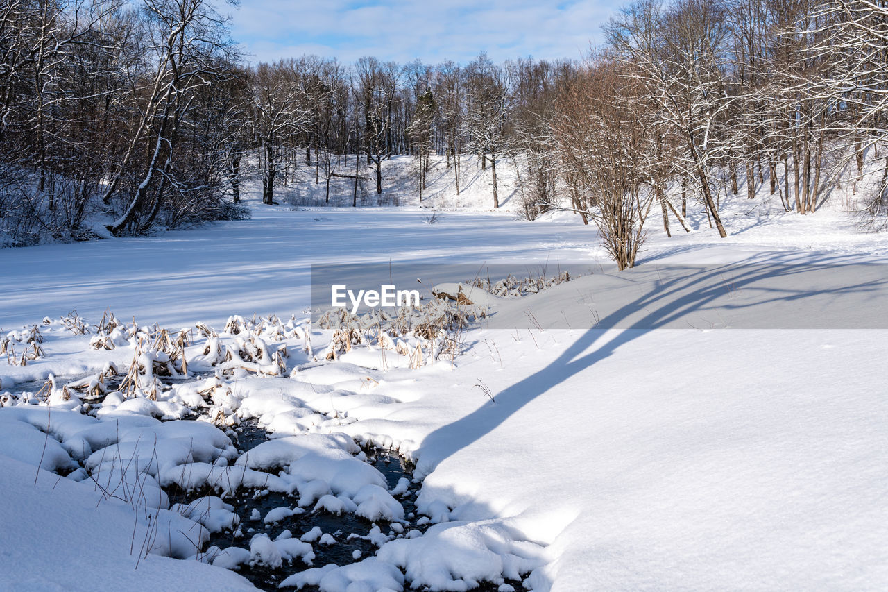 snow, winter, cold temperature, tree, landscape, nature, environment, scenics - nature, plant, beauty in nature, forest, land, footwear, white, frozen, tranquil scene, freezing, non-urban scene, tranquility, sky, no people, woodland, coniferous tree, pine tree, blue, pinaceae, sunlight, day, mountain, travel, ice, polar climate, outdoors, pine woodland, rural scene, cloud, travel destinations, idyllic, remote, tourism, piste, frost, deep snow