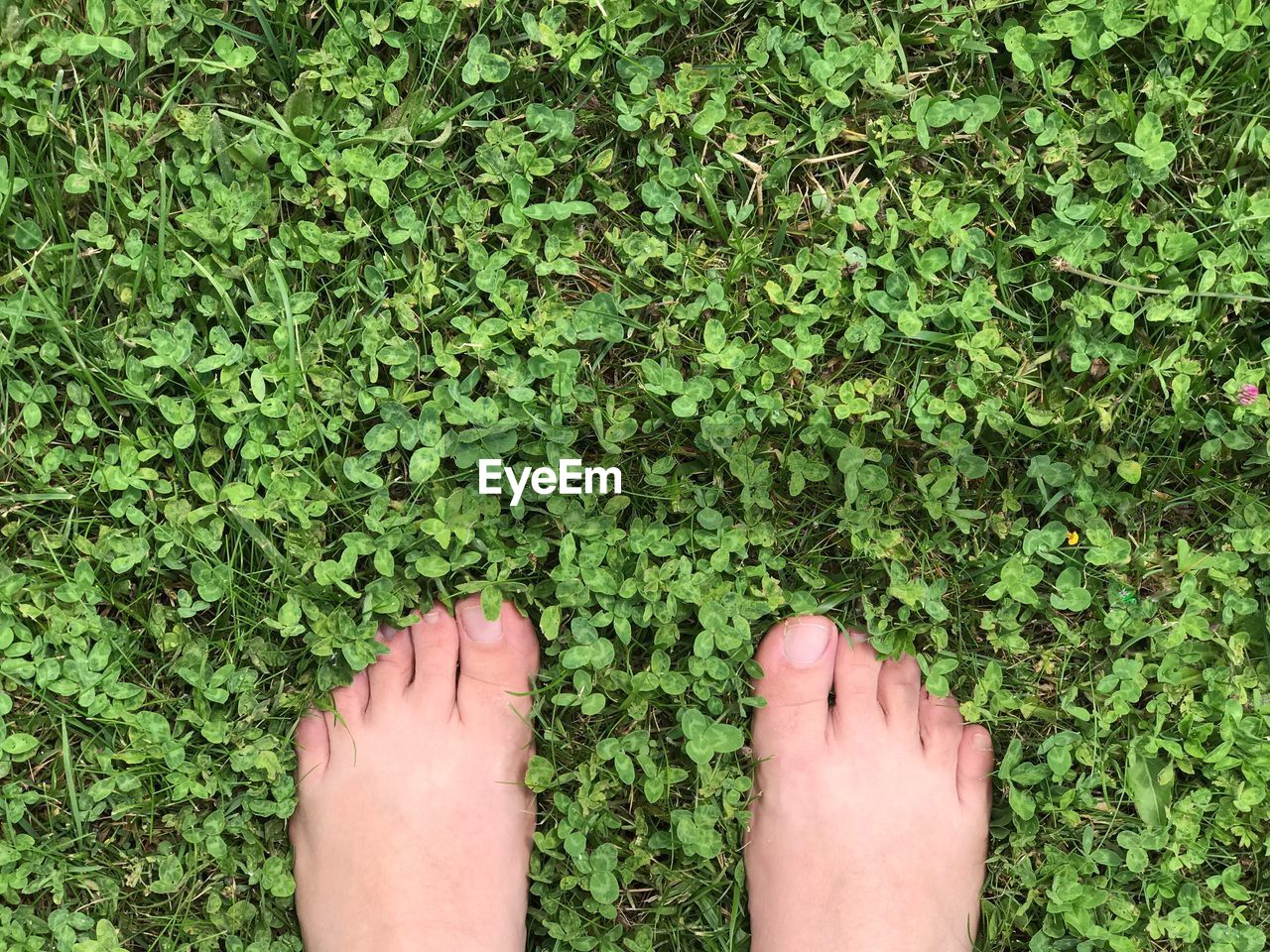 LOW SECTION OF PERSON WEARING SHOES STANDING ON GROUND