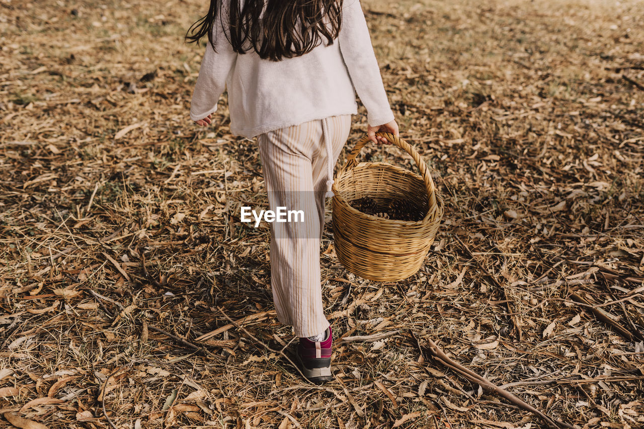 Girl with pine cones in wicker basket walking at park