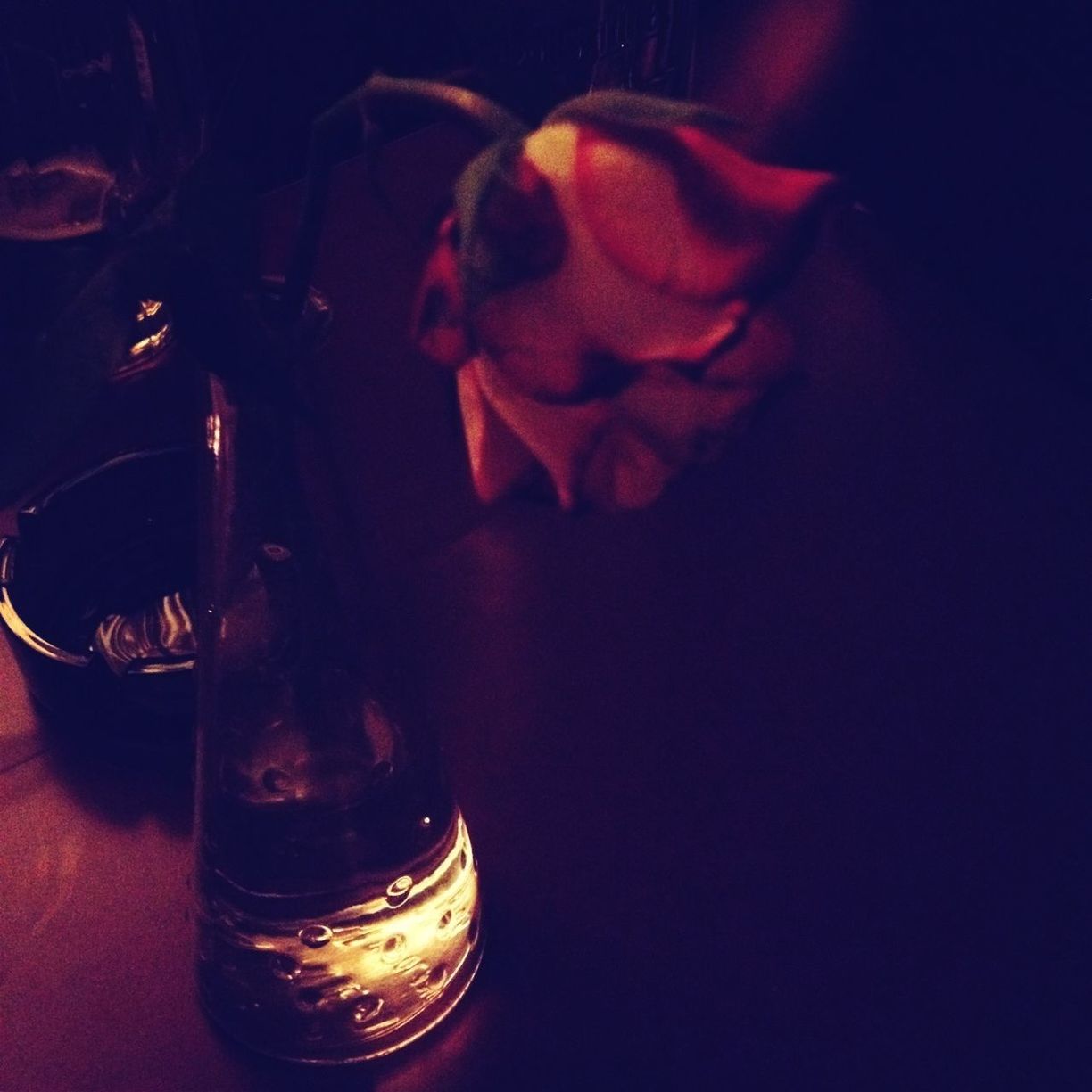 CLOSE-UP OF FLOWERS OVER BLACK BACKGROUND