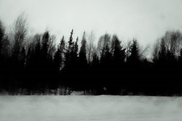 BARE TREES ON LANDSCAPE AGAINST SKY