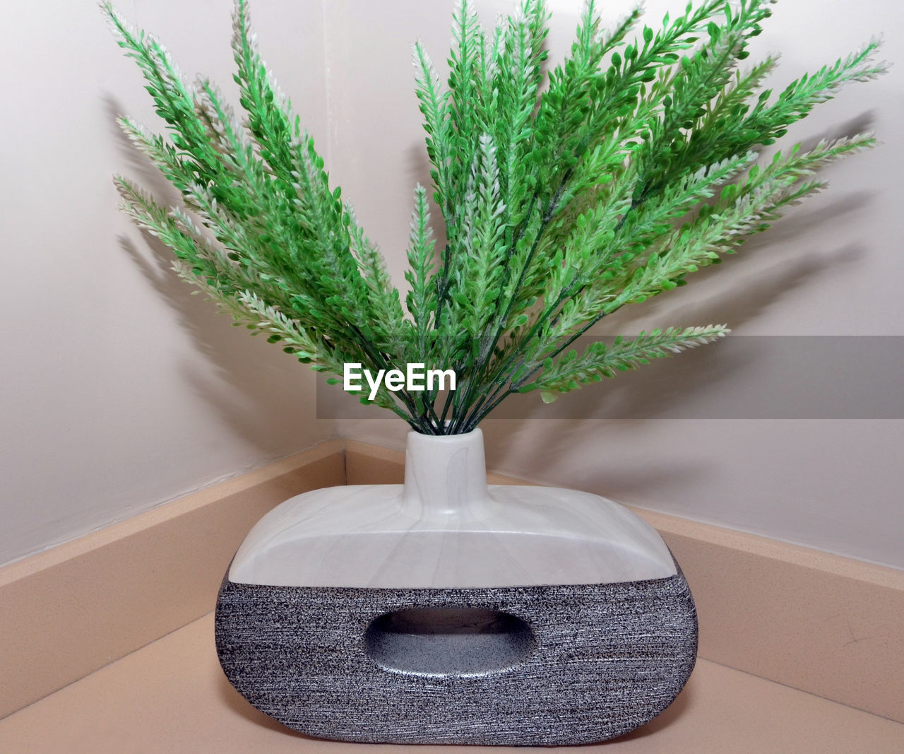 HIGH ANGLE VIEW OF POTTED PLANT ON TABLE AGAINST WALL