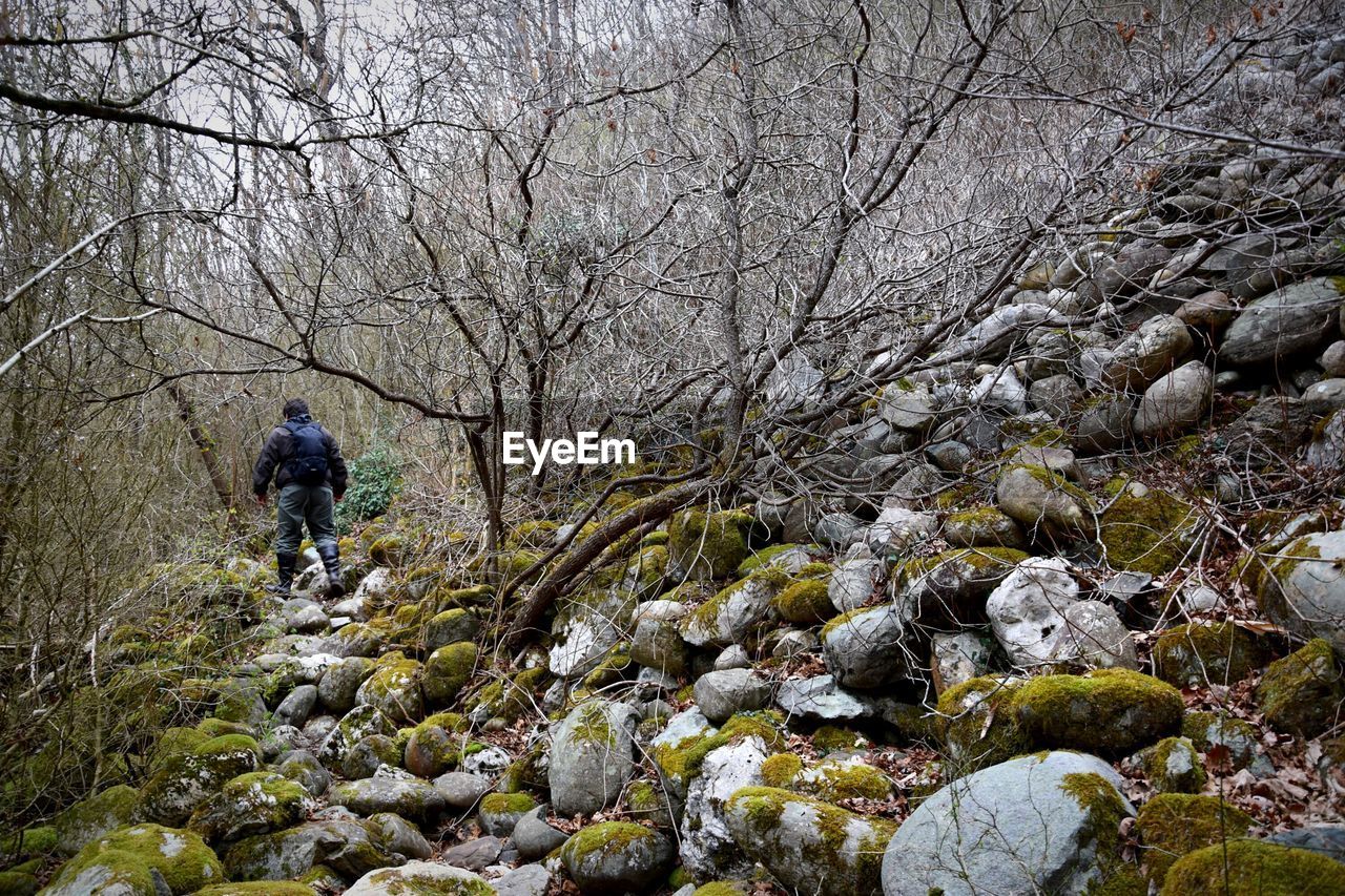 Man hiking in forest