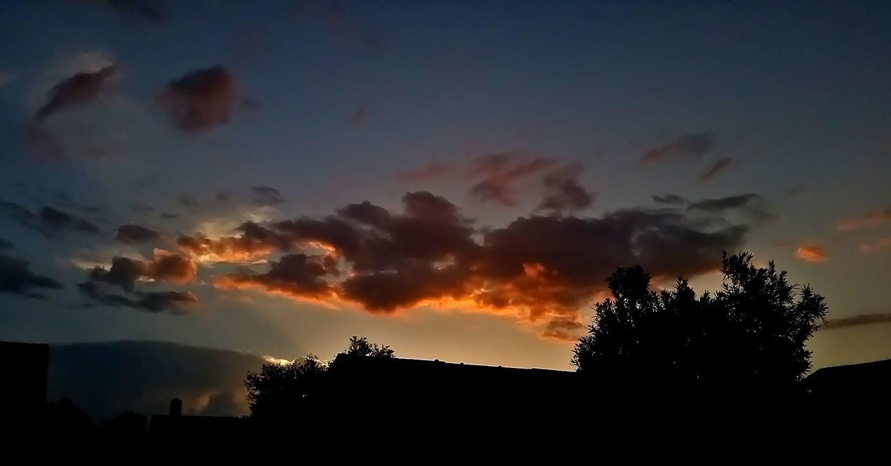 LOW ANGLE VIEW OF SILHOUETTE TREES AGAINST SUNSET SKY