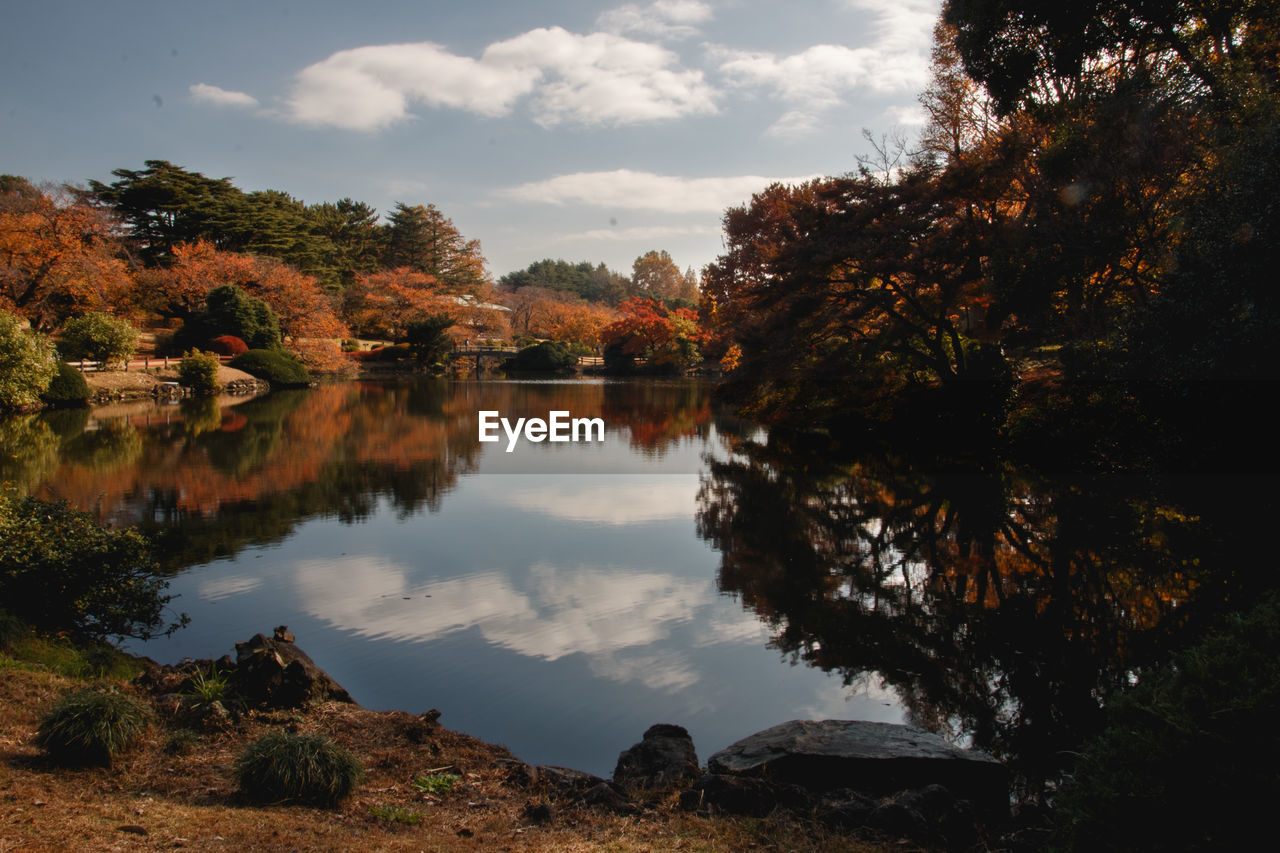 Scenic view of lake by trees against sky