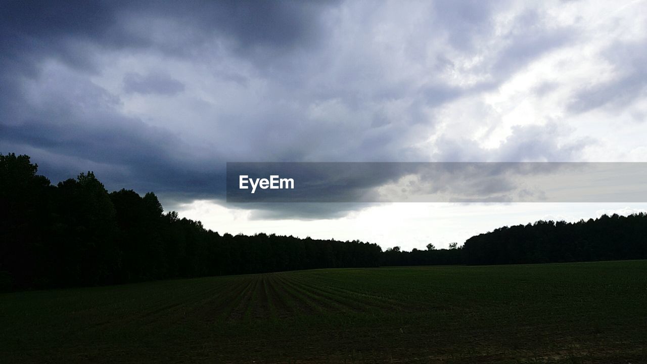 TREES ON FIELD AGAINST CLOUDY SKY