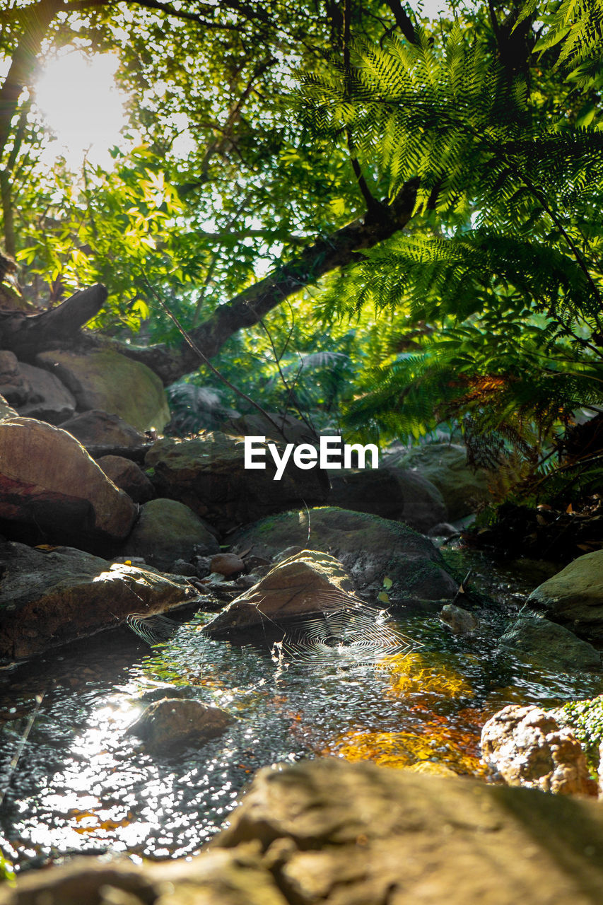 SCENIC VIEW OF STREAM FLOWING THROUGH ROCKS