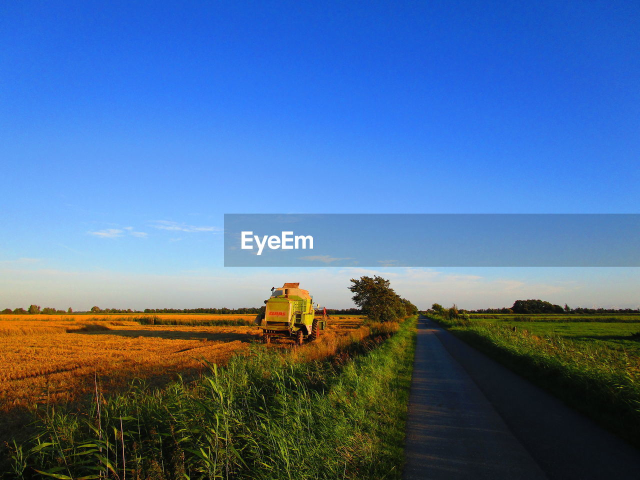 Road amidst agricultural field against blue sky