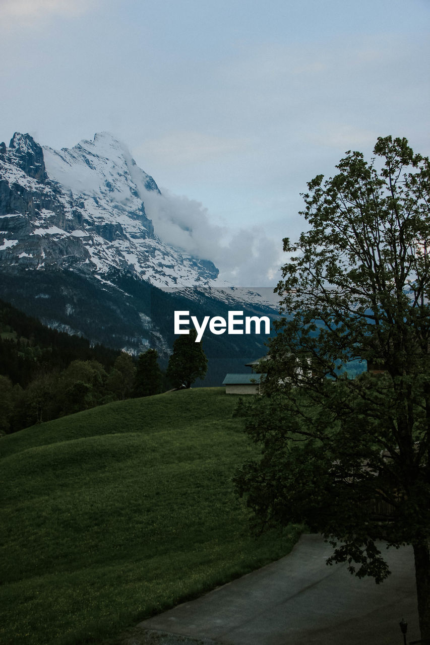 SCENIC VIEW OF SNOWCAPPED LANDSCAPE AGAINST SKY