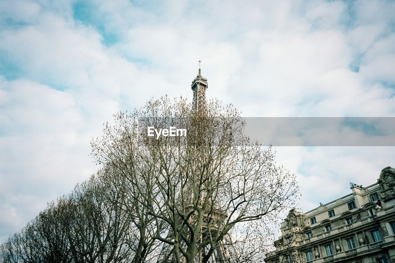 Low angle view of trees by eiffel tower against sky