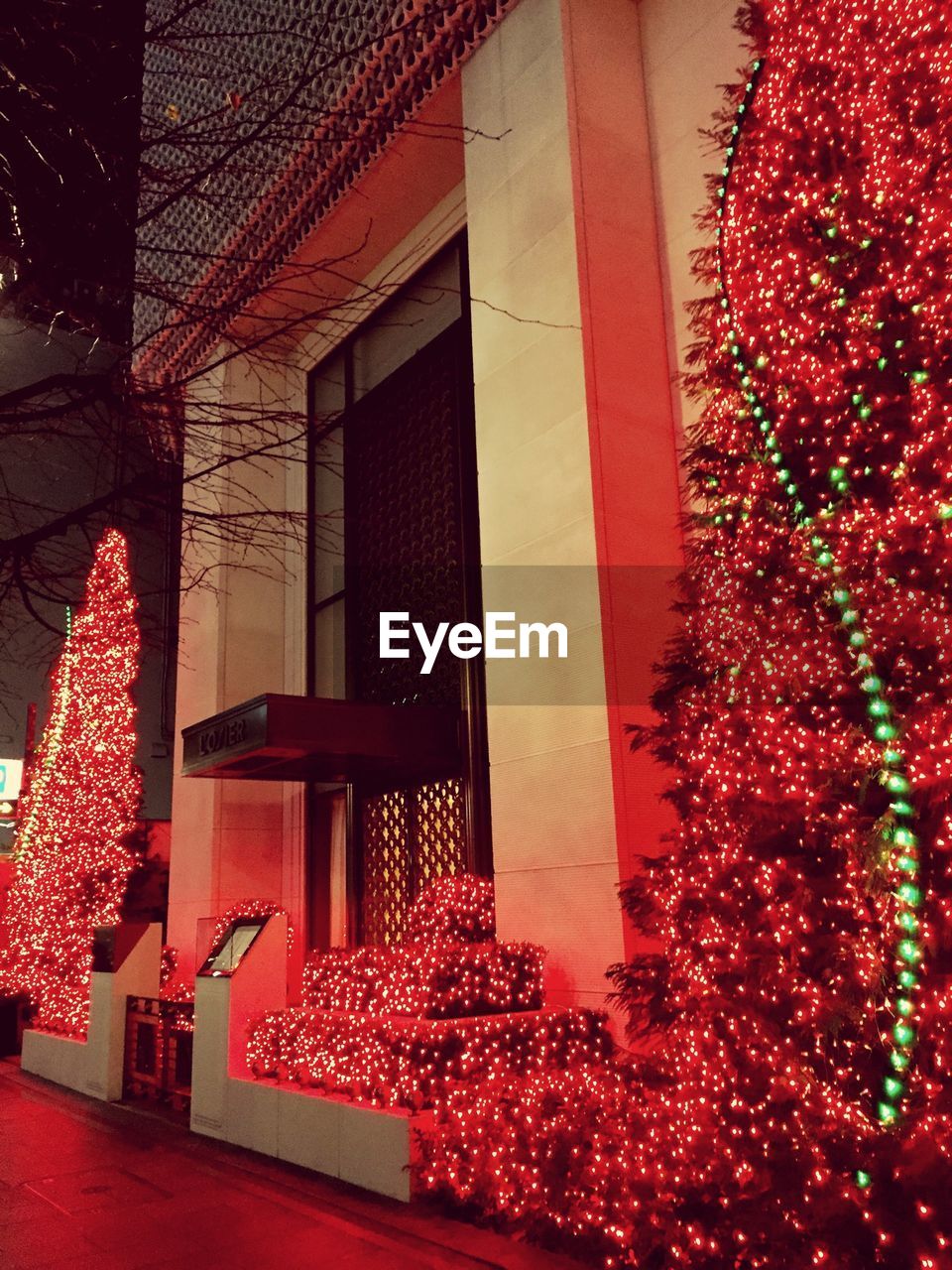 Low angle view of illuminated decoration on building