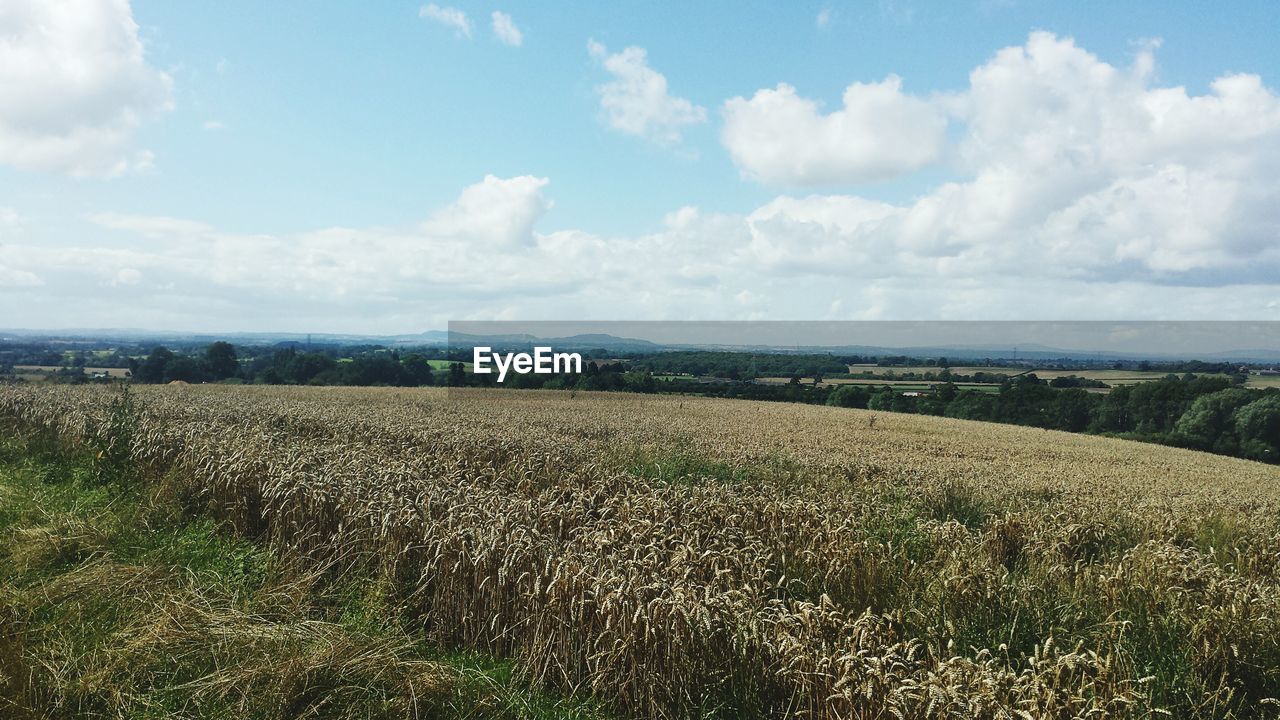 SCENIC VIEW OF RURAL LANDSCAPE