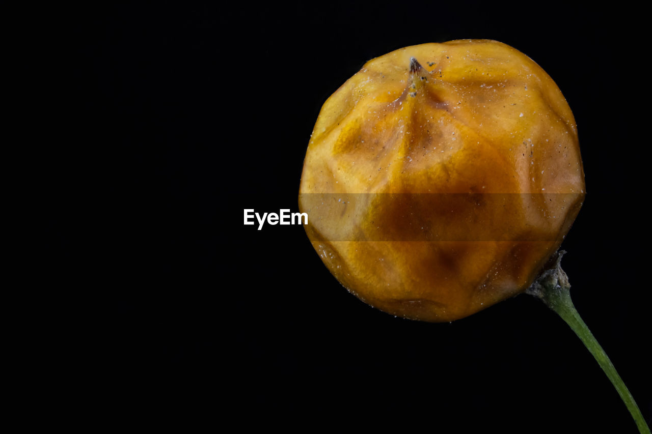 CLOSE-UP OF FRUIT OVER BLACK BACKGROUND