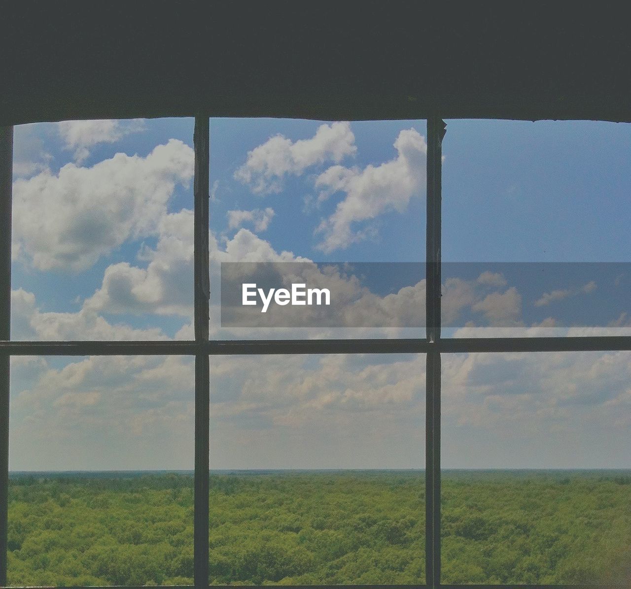 Scenic view of lush and cloudy sky seen through window