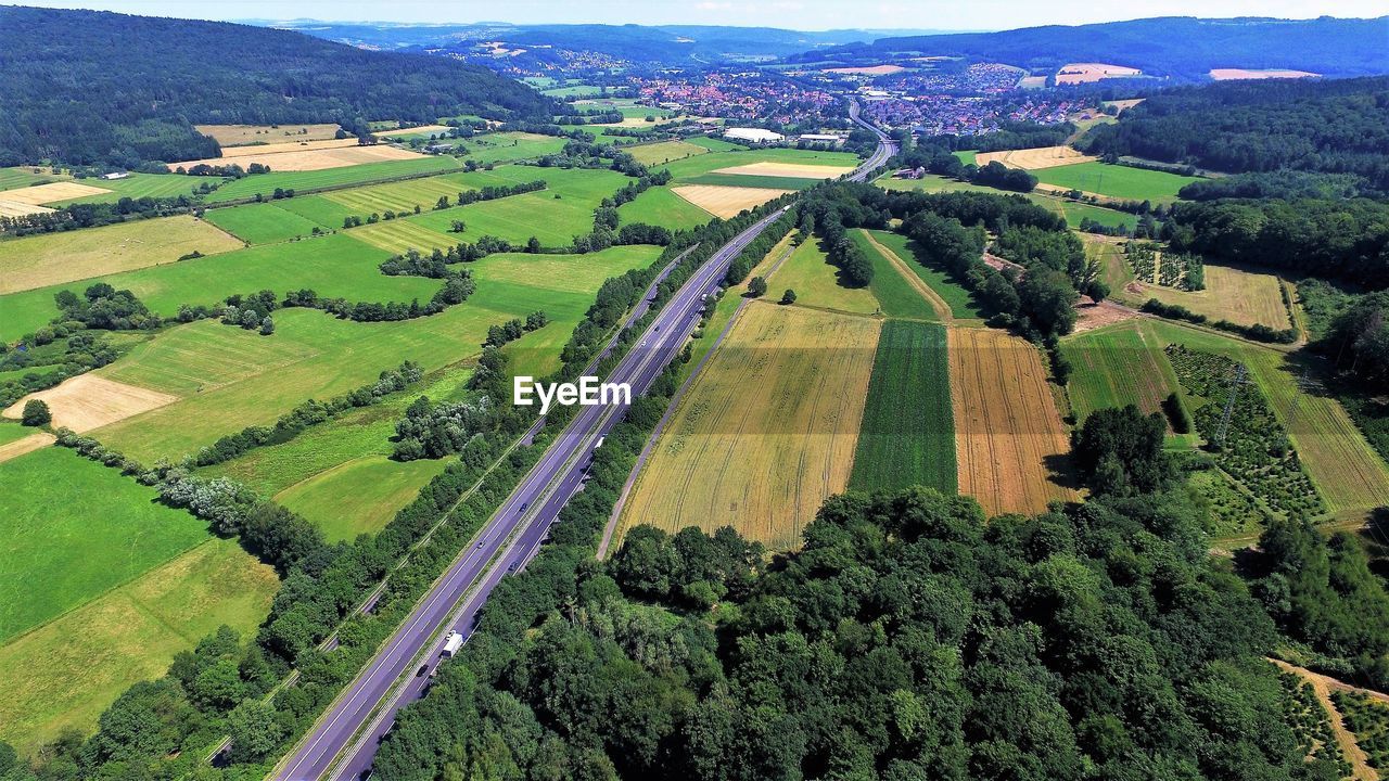 HIGH ANGLE VIEW OF AGRICULTURAL FIELD AGAINST TREES