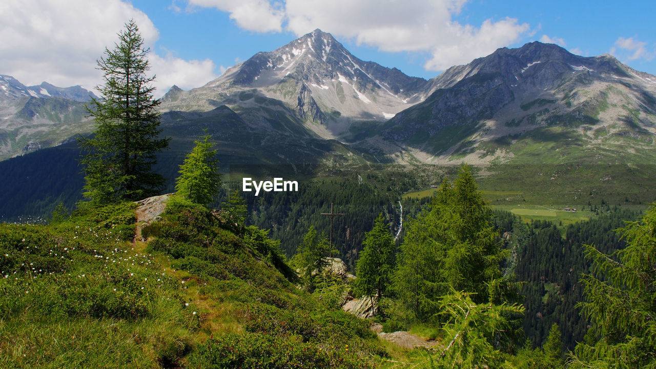 SCENIC VIEW OF GREEN LANDSCAPE WITH MOUNTAINS