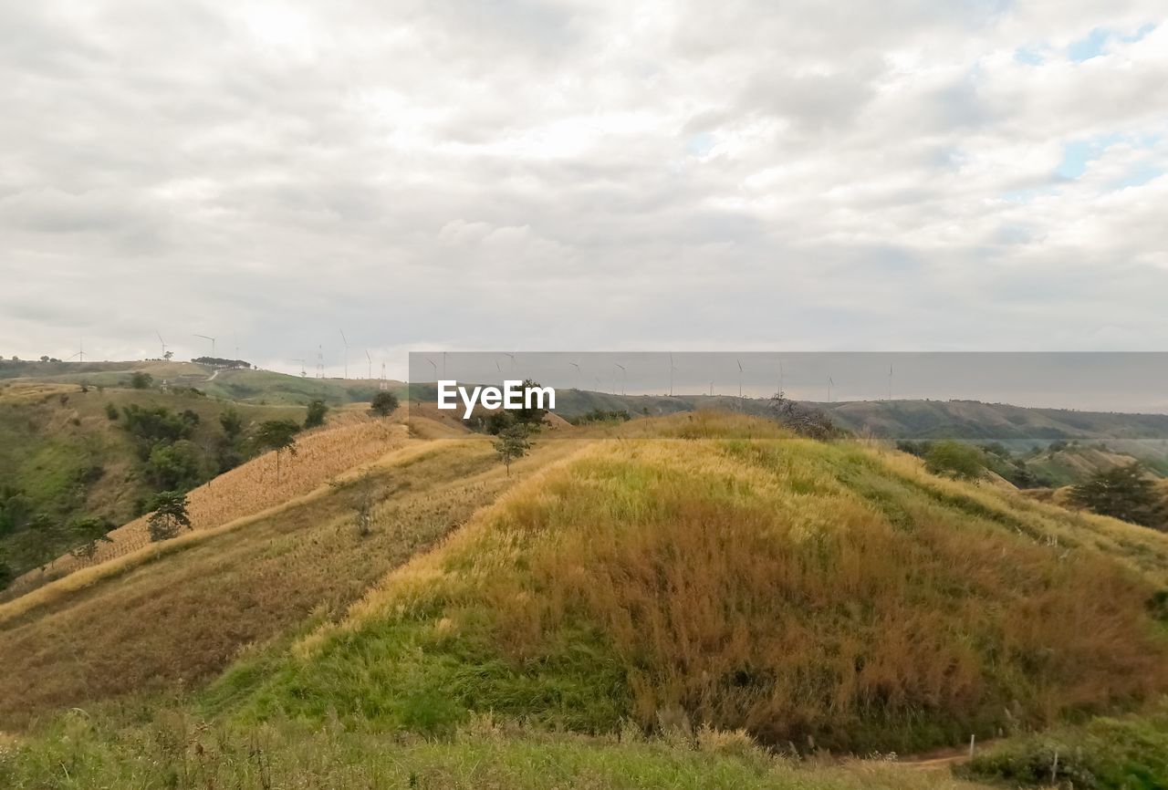 SCENIC VIEW OF FARM AGAINST SKY