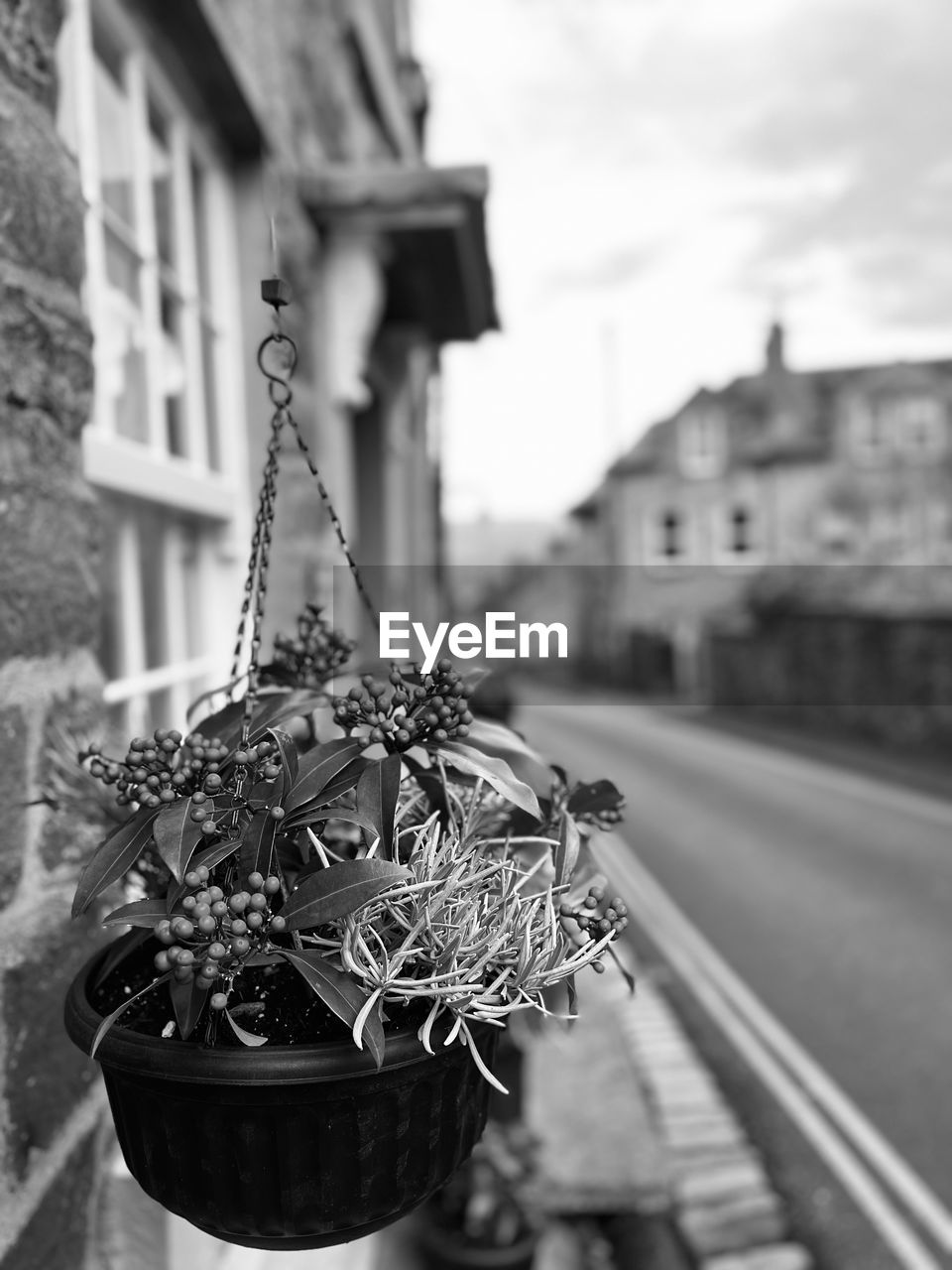 architecture, black, black and white, built structure, focus on foreground, building exterior, monochrome, white, monochrome photography, day, nature, no people, plant, city, flower, outdoors, street, road, sky, metal, close-up, iron, hanging