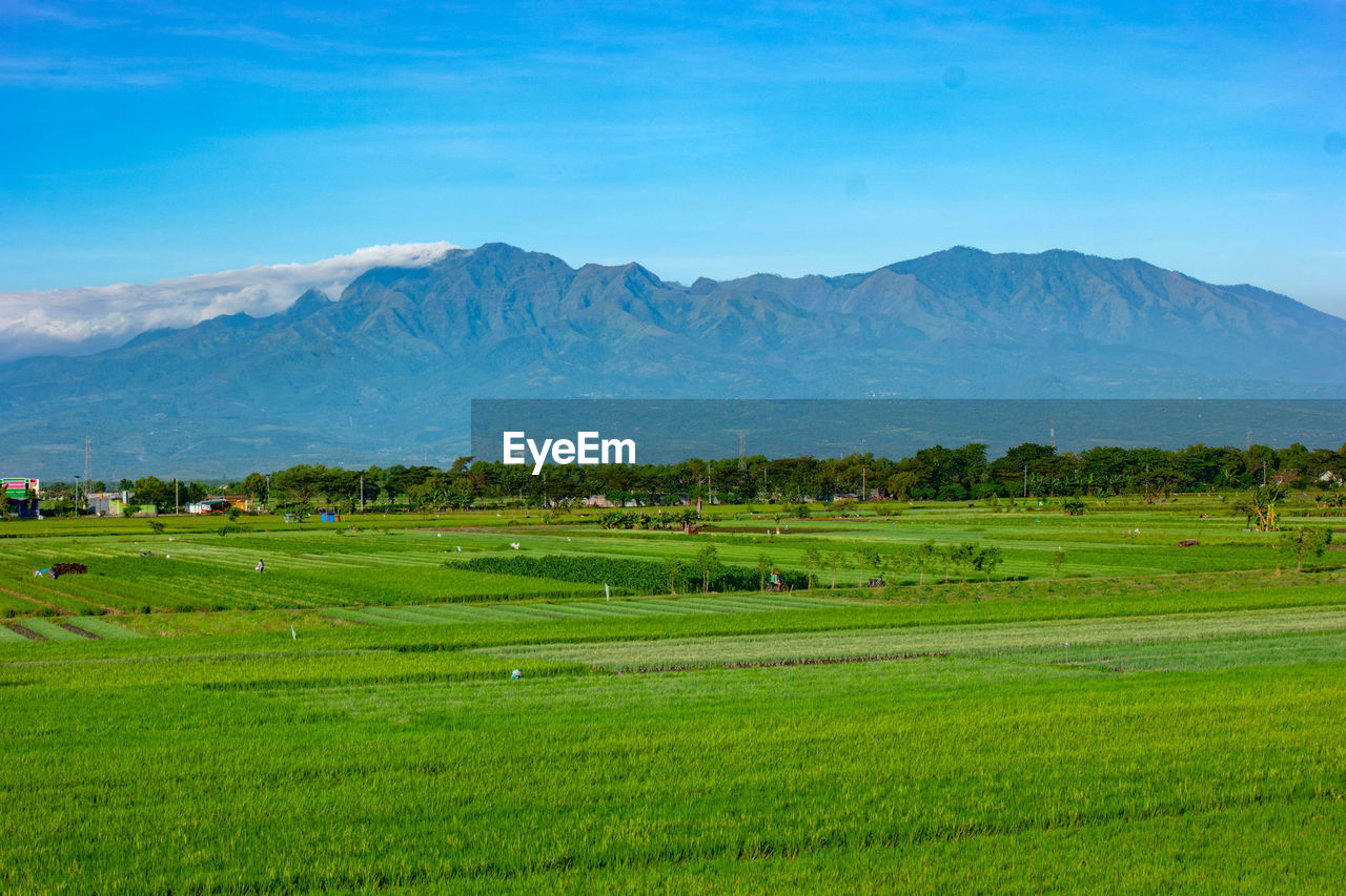 Scenic view of landscape and mountains against sky