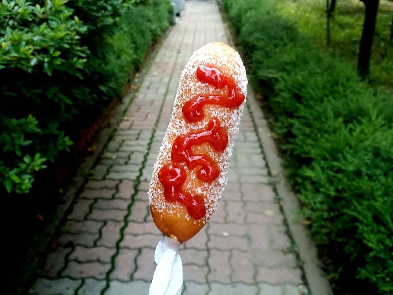 Close-up of food over footpath at park