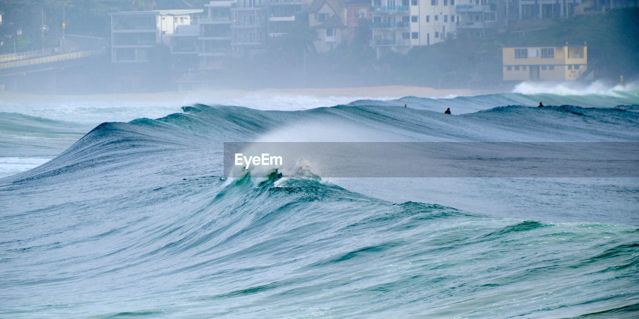 Big waves at manly beach