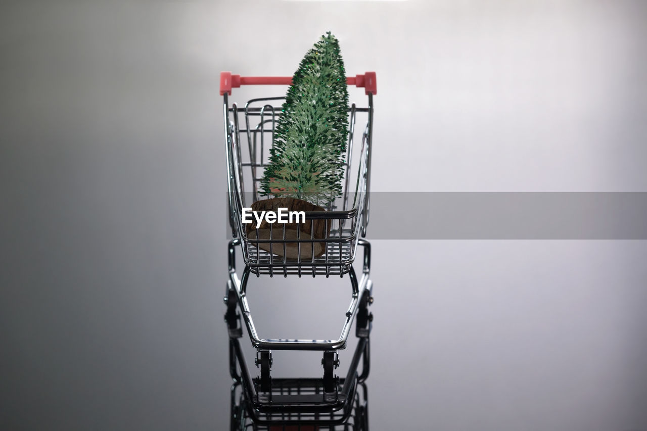 CLOSE-UP OF SMALL BASKET ON TREE