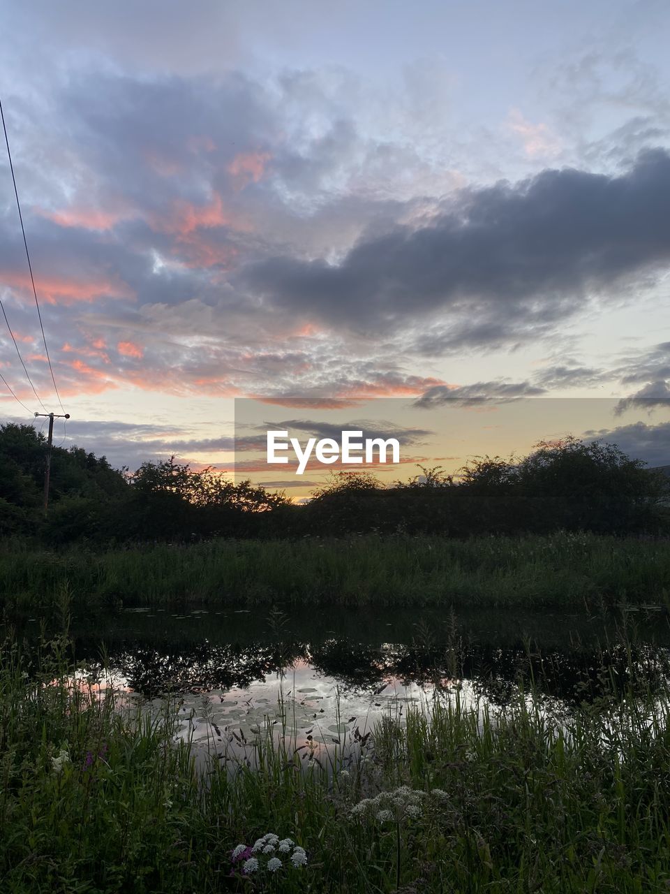 SCENIC VIEW OF SWAMP AGAINST SKY DURING SUNSET