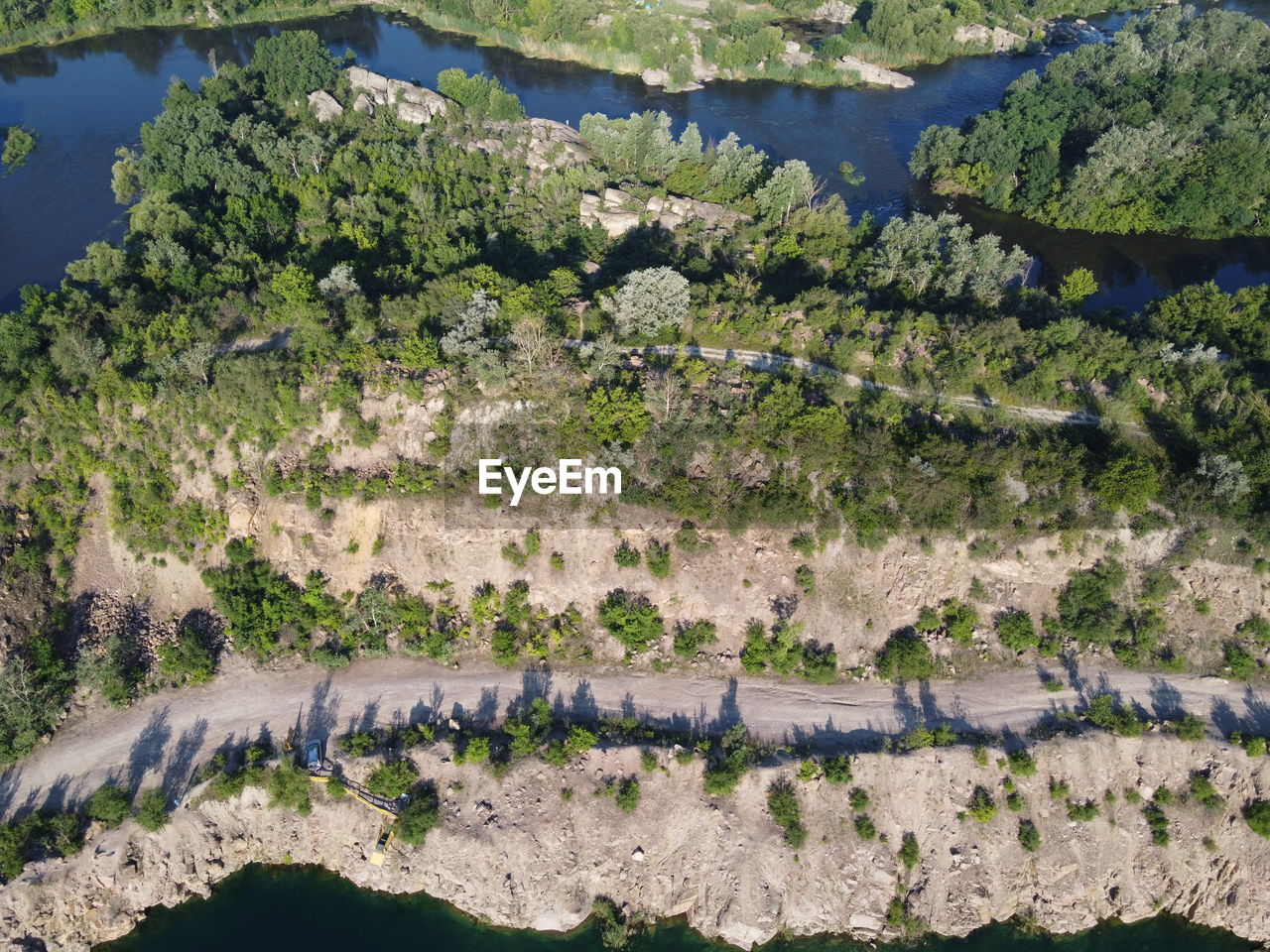 HIGH ANGLE VIEW OF TREES AND PLANTS GROWING ON FIELD