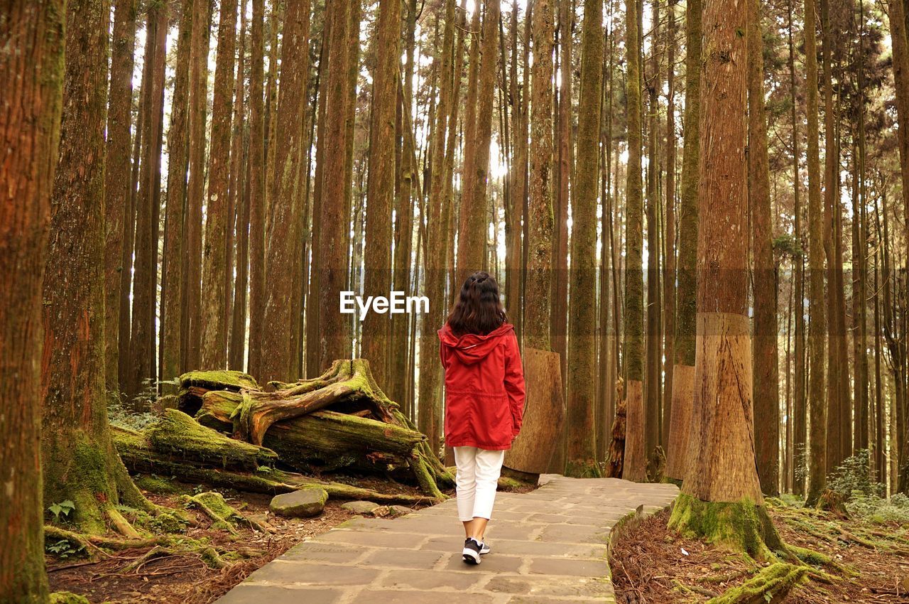 Rear view of woman walking on footpath against trees in forest