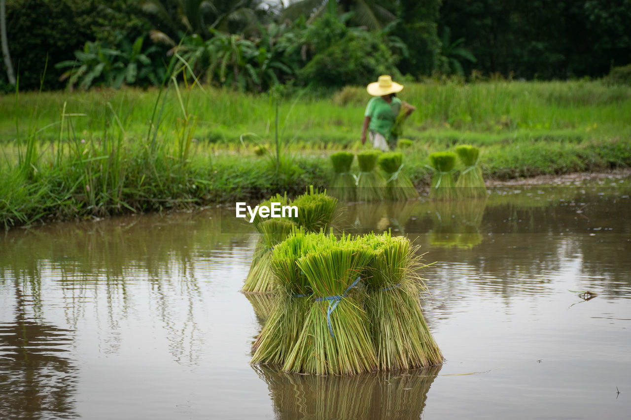 REFLECTION OF MAN IN LAKE WATER