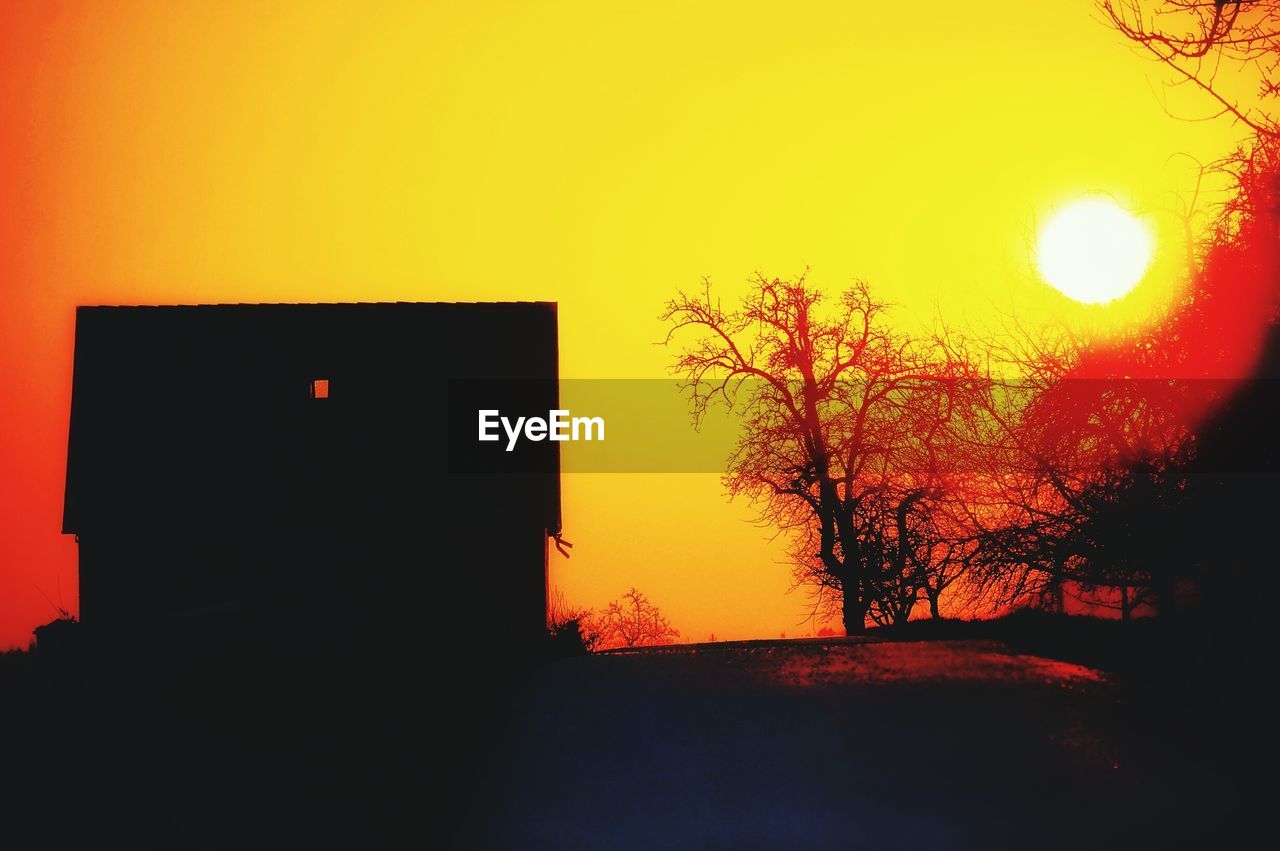 SILHOUETTE OF TREES AT SUNSET