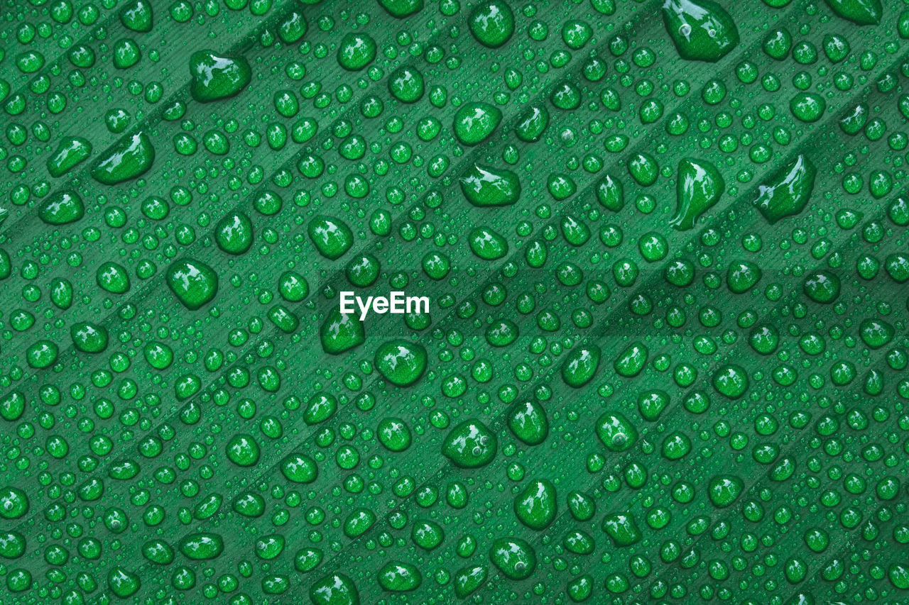 Water drops on banana leaf background