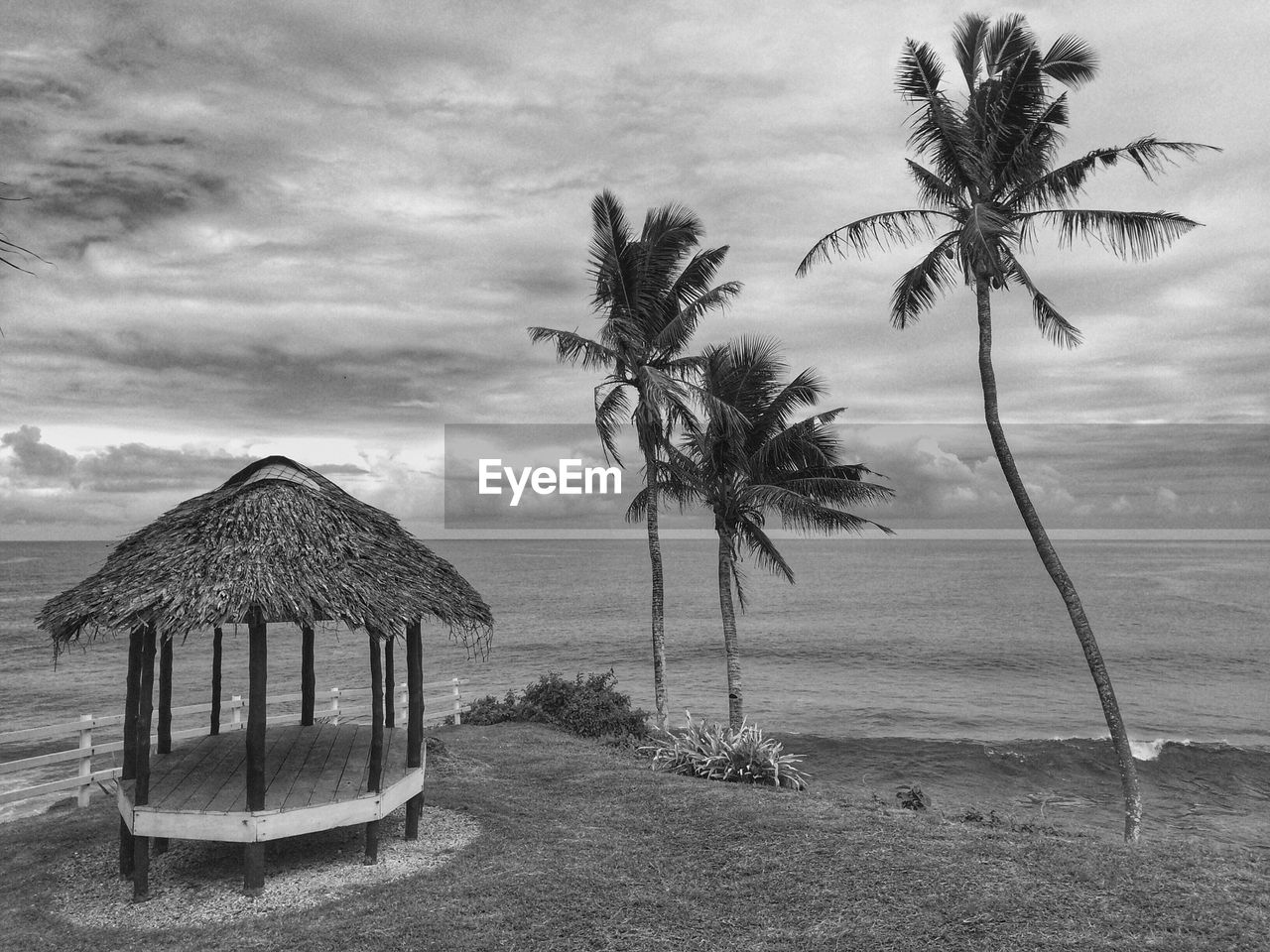 Palm trees on beach against sky